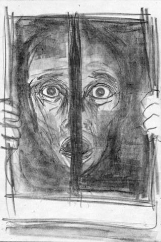 Prisoner No 3 - 9311b