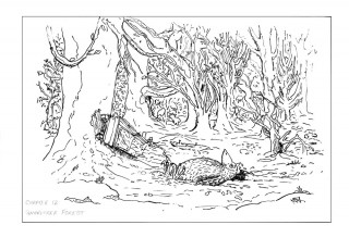Higginz crashes in Gnarltree Forest. Having sledged down the steep snow covered hill. This drawing appears in his book to illustrate his children's story.