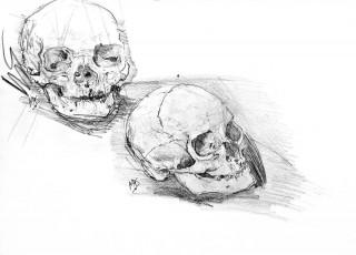 Boneheads - 1634