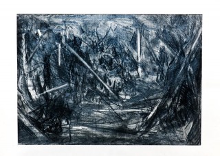 Tangled Wood - 2142