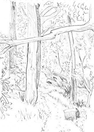 The Woodland Path sketch is from Max's memory. Often he would go for walks in Fletcher Moss, Didsbury and the sketch is indicative of the small woods there.