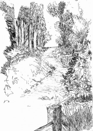 black and white sketch of country lane