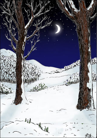 All White and Soundless. An Illustration for the book